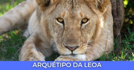 Arquétipo Leoa – Coragem, Sabedoria e Autocontrole