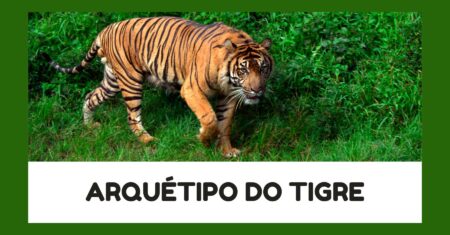 Arquétipo do Tigre: Força, Coragem e Independência